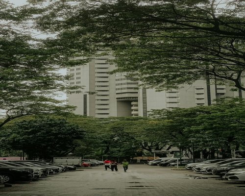 People walking gently in a green urban park in Indonesia during late afternoon